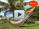 Video 8